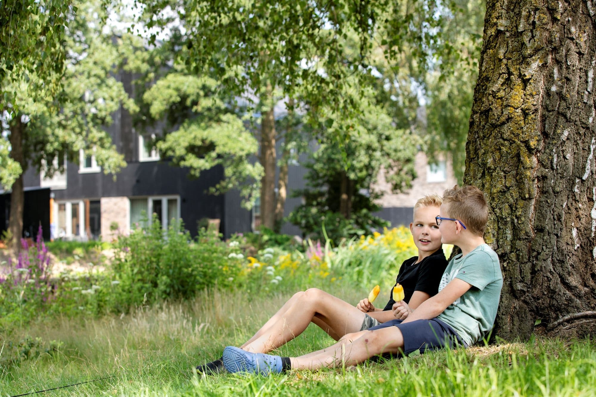 Twee jongens onder een boom