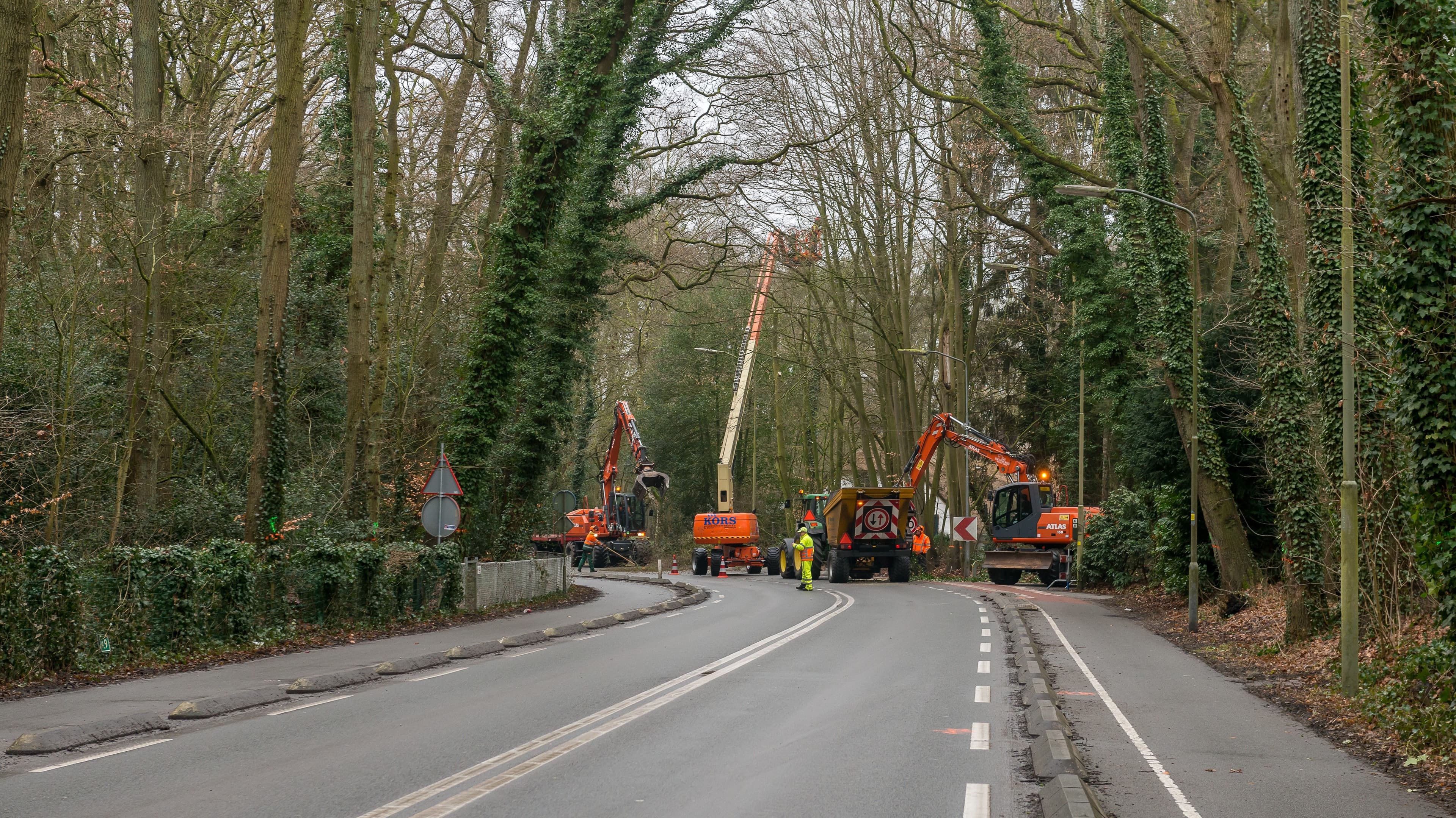 Onderhoud aan bomen op de N794