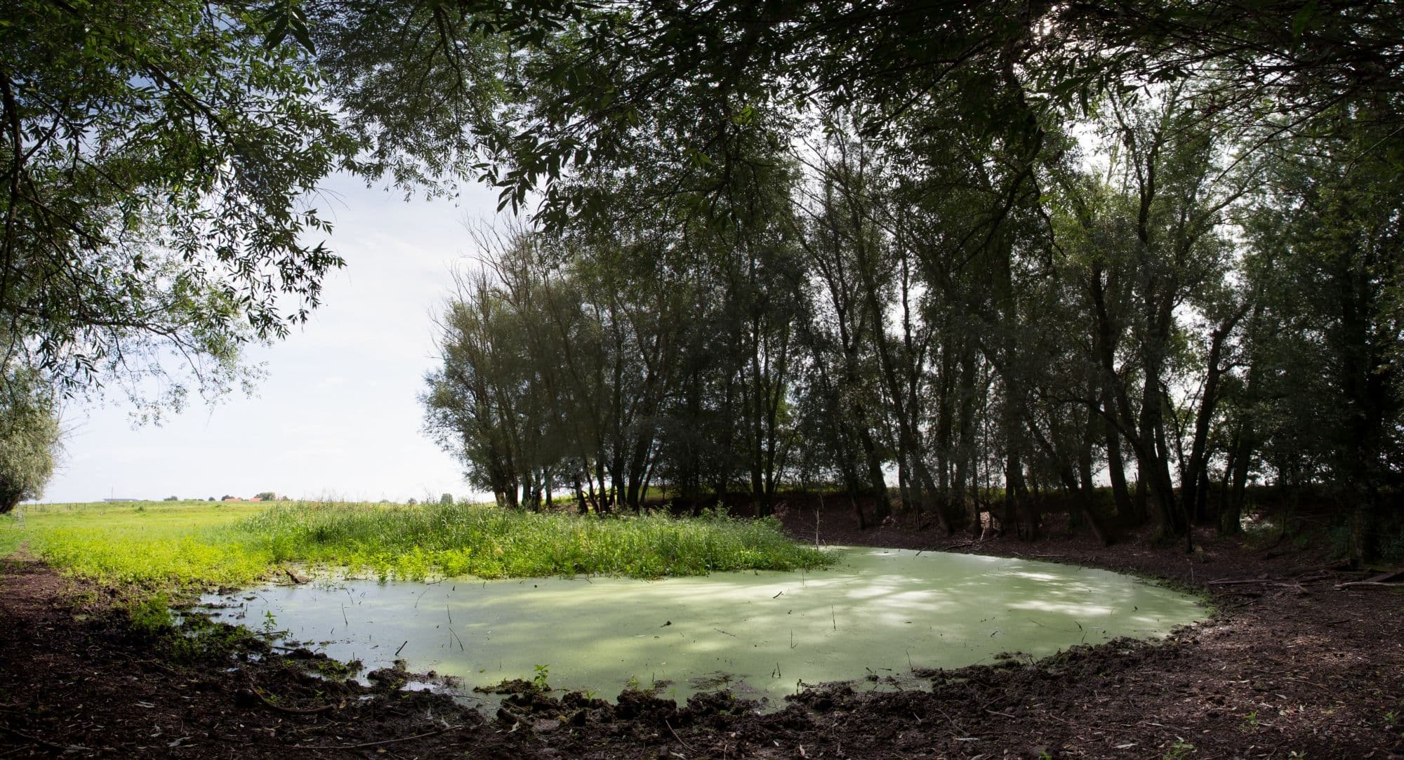 Rijntakken natuurplas