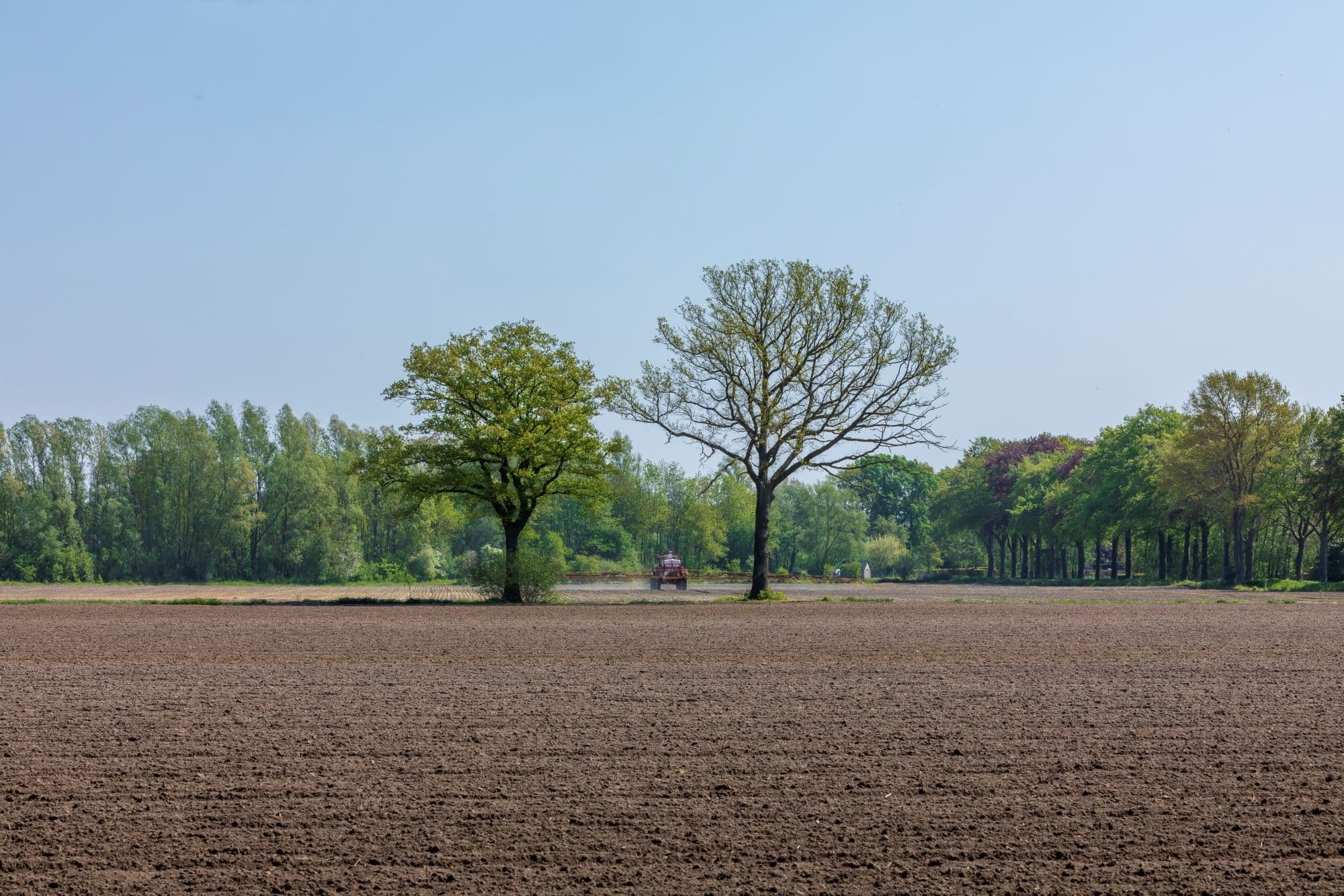 landbouwgrond Achterhoek